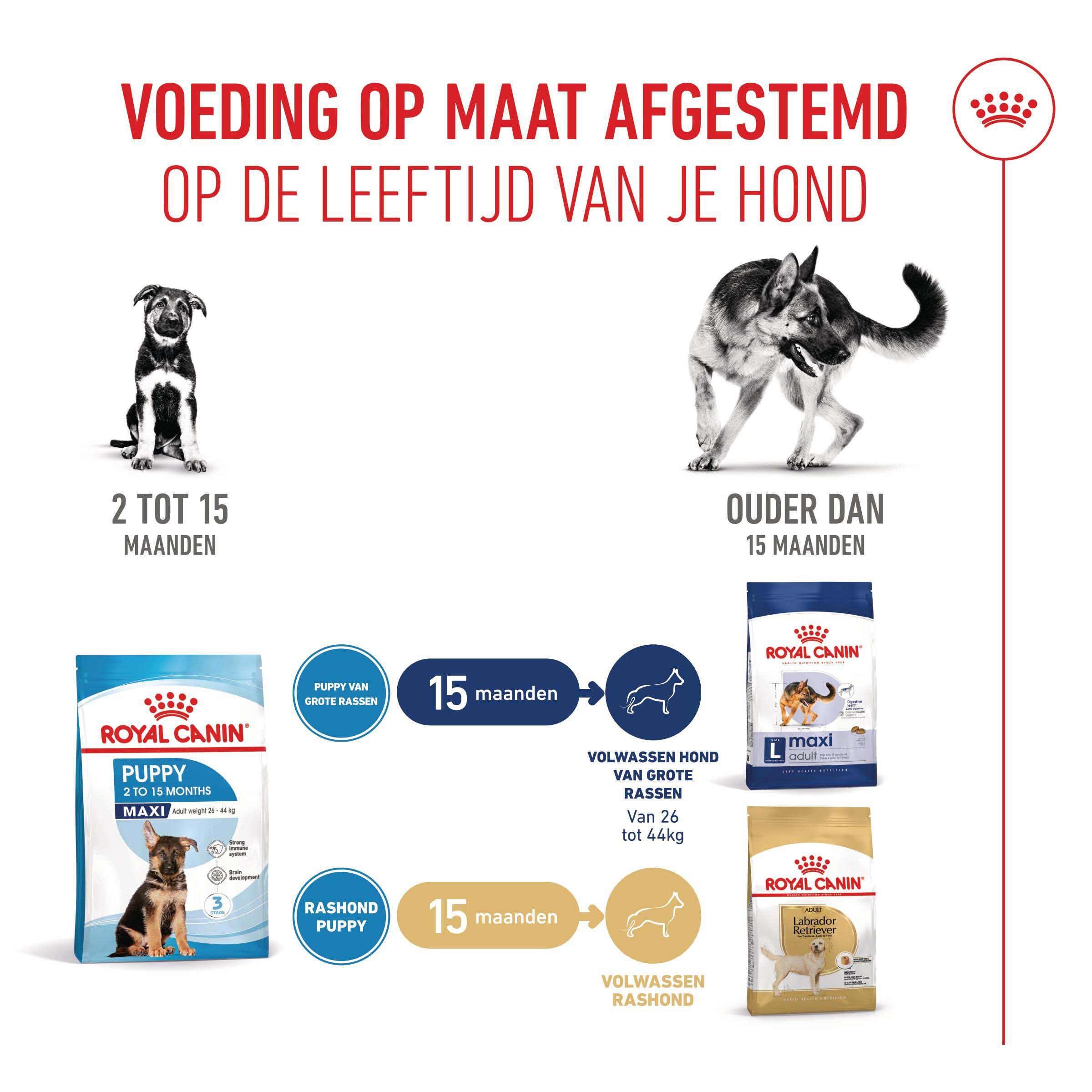 Royal Canin SHN Maxi Puppy - Hondenvoer - 10 Kilogram - gevogelte