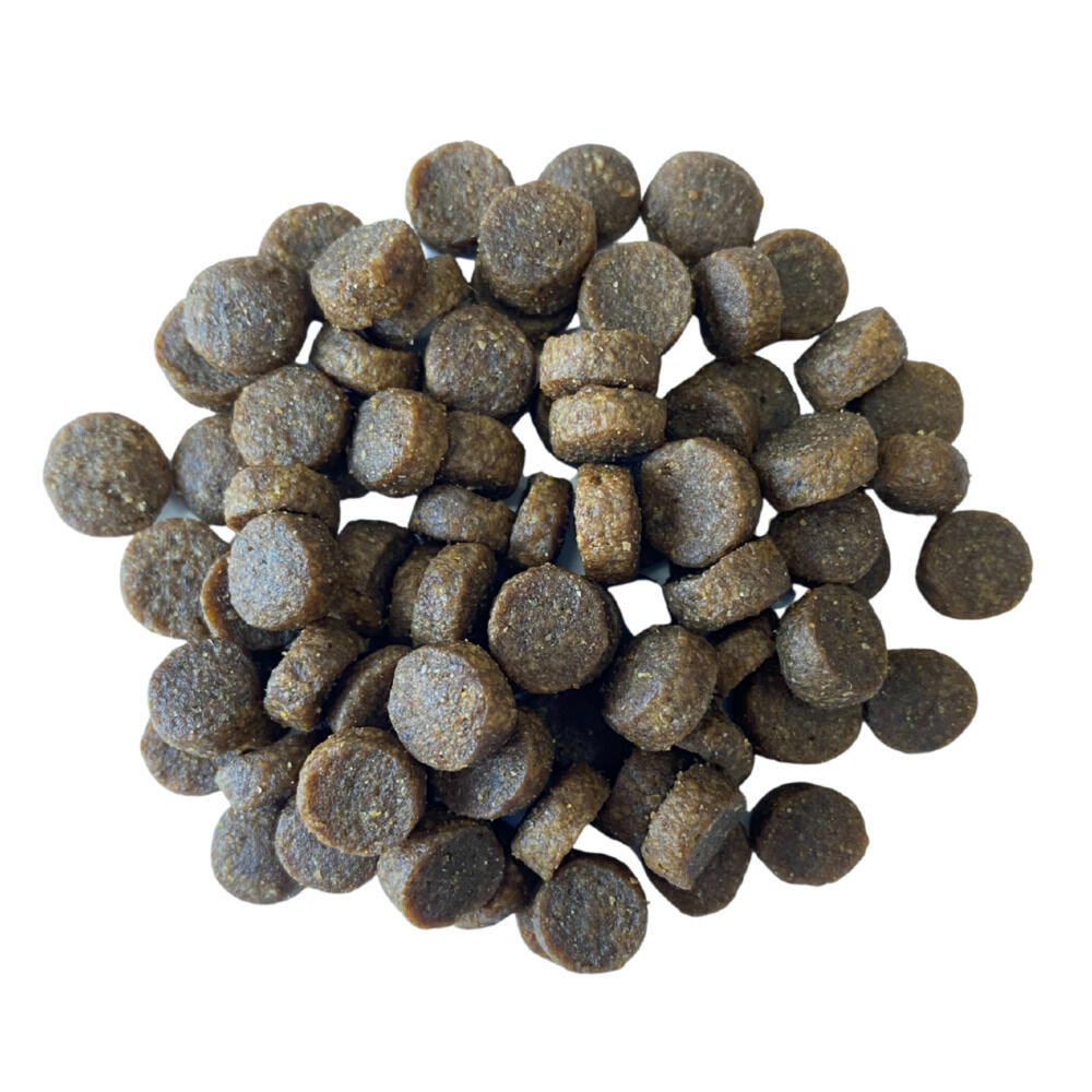 BF Petfood Sensitive Coat & Stomach - Kattenvoer - 1.5 Kilogram - zalm