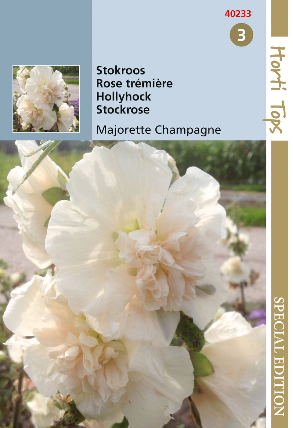 Hortitops Stokroos Majorette Champagne Althaea rosea - Bloemzaden Hortitops Stokroos Majorette Champagne Althaea rosea - Bloemzaden