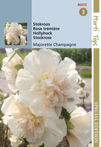 Hortitops Stokroos Majorette Champagne Althaea rosea - Bloemzaden