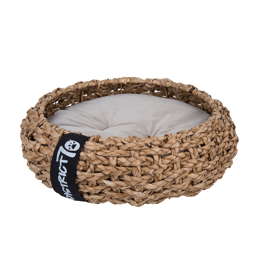 District 70 COCOON - Hondenmand