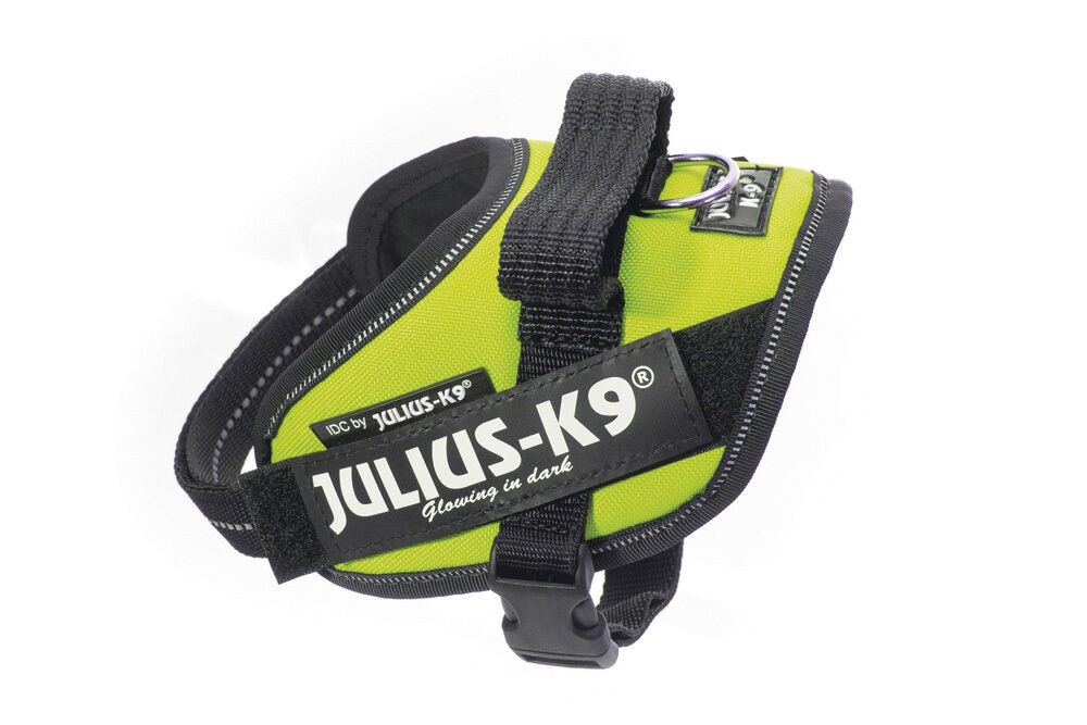Julius K9 Neon - Hondentuig - neon - Mini mini Julius K9 Neon - Hondentuig - neon - Mini mini