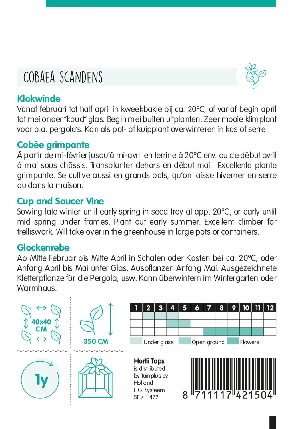 Hortitops Klokwinde - Bloemzaden