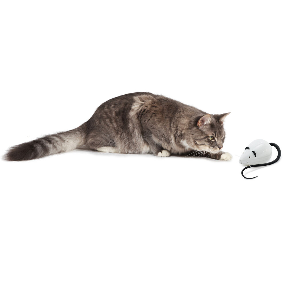 Petsafe Rolorat - Kattenspeeltje