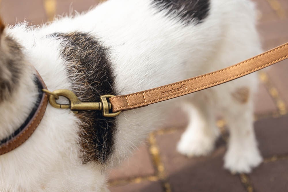 Beeztees Balacron - Hondenriem - bruin - Medium - 2 cm - 180 cm