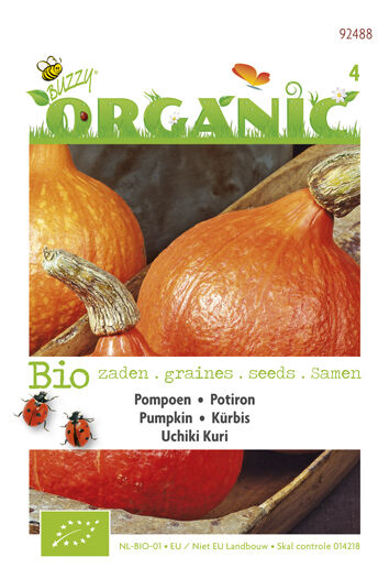 Buzzy Pompoen Cucurbita Uchiki Kuri - Kalebas/Pompoen