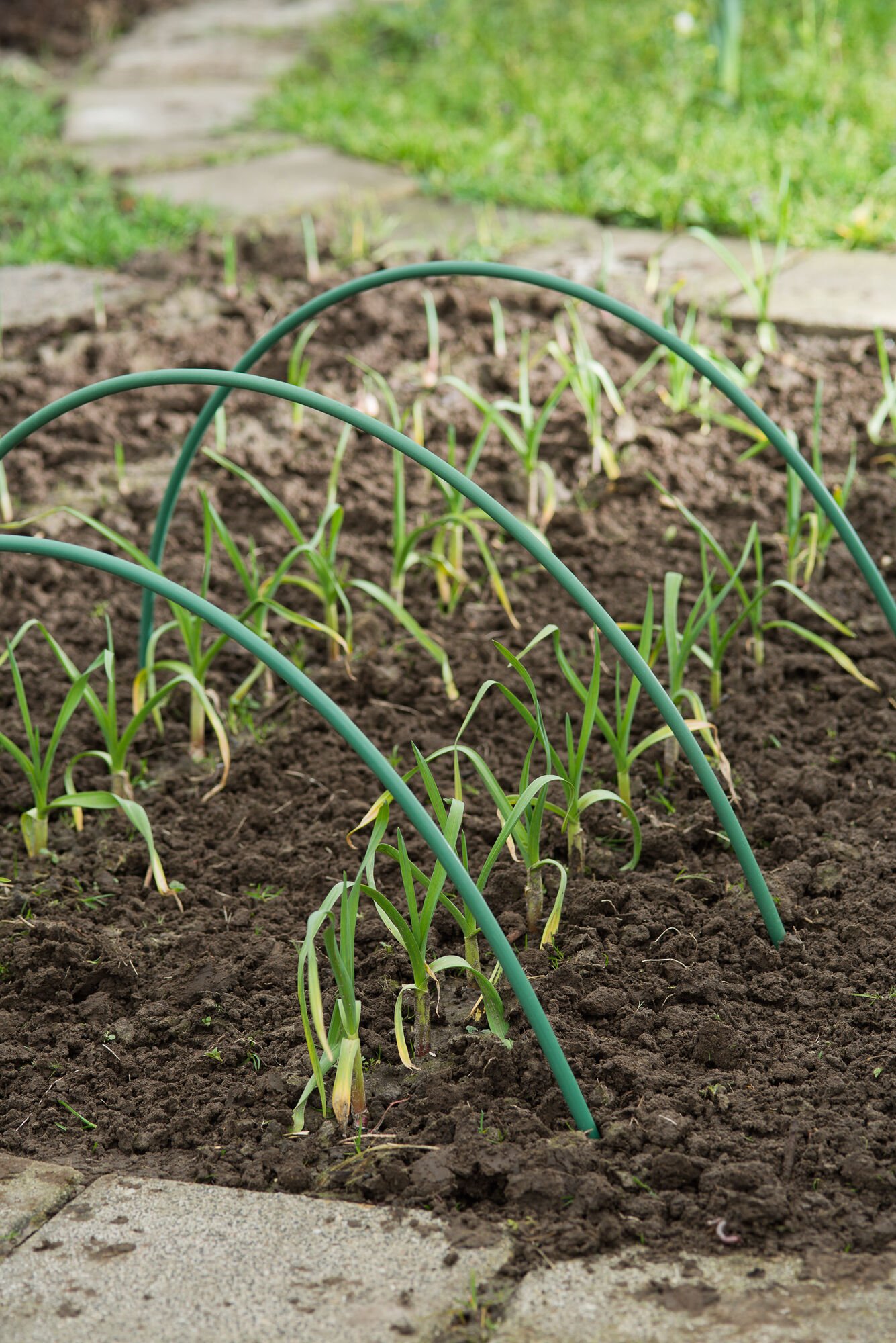 Nature Tunnelboog - Klim- en Geleide Artikelen