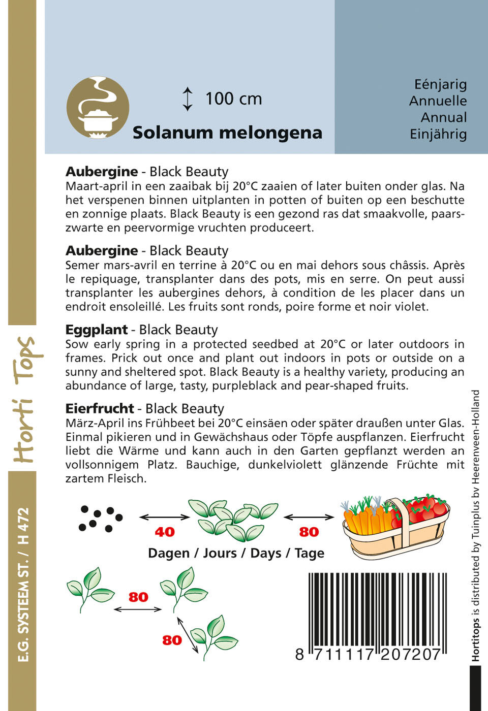Hortitops Aubergine Black Beauty Solanum melongena - Groentezaden