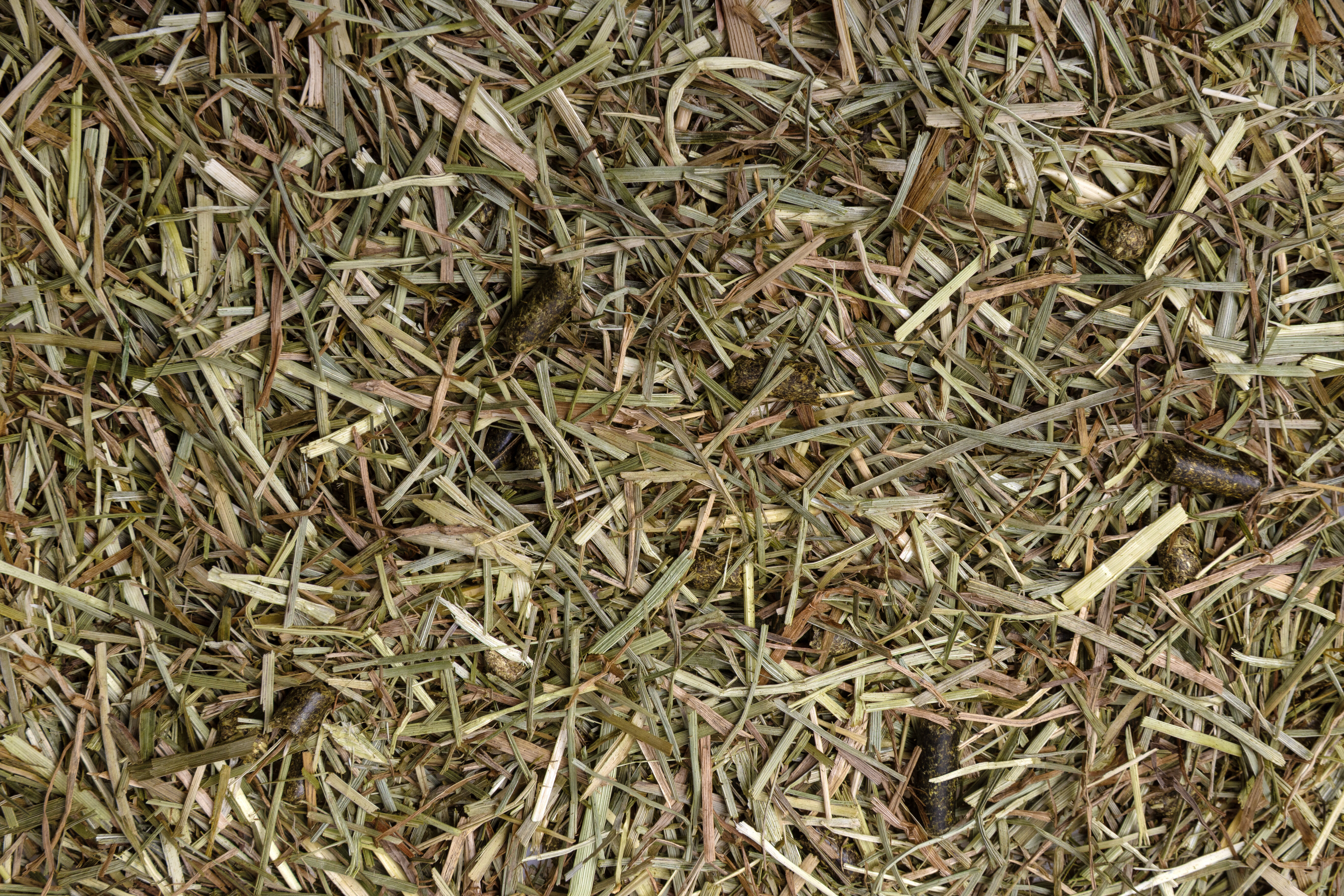 Pavo SeniorFibre - Specialiteit - 12 Kilogram - Zak