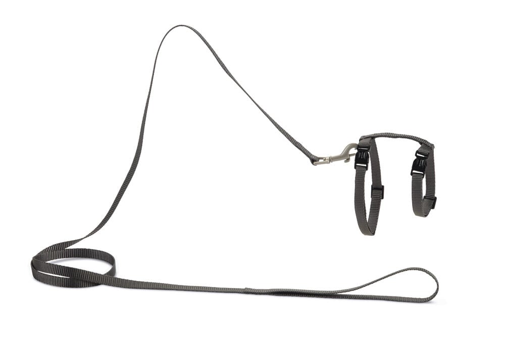 Beeztees Uni - Kattentuigje