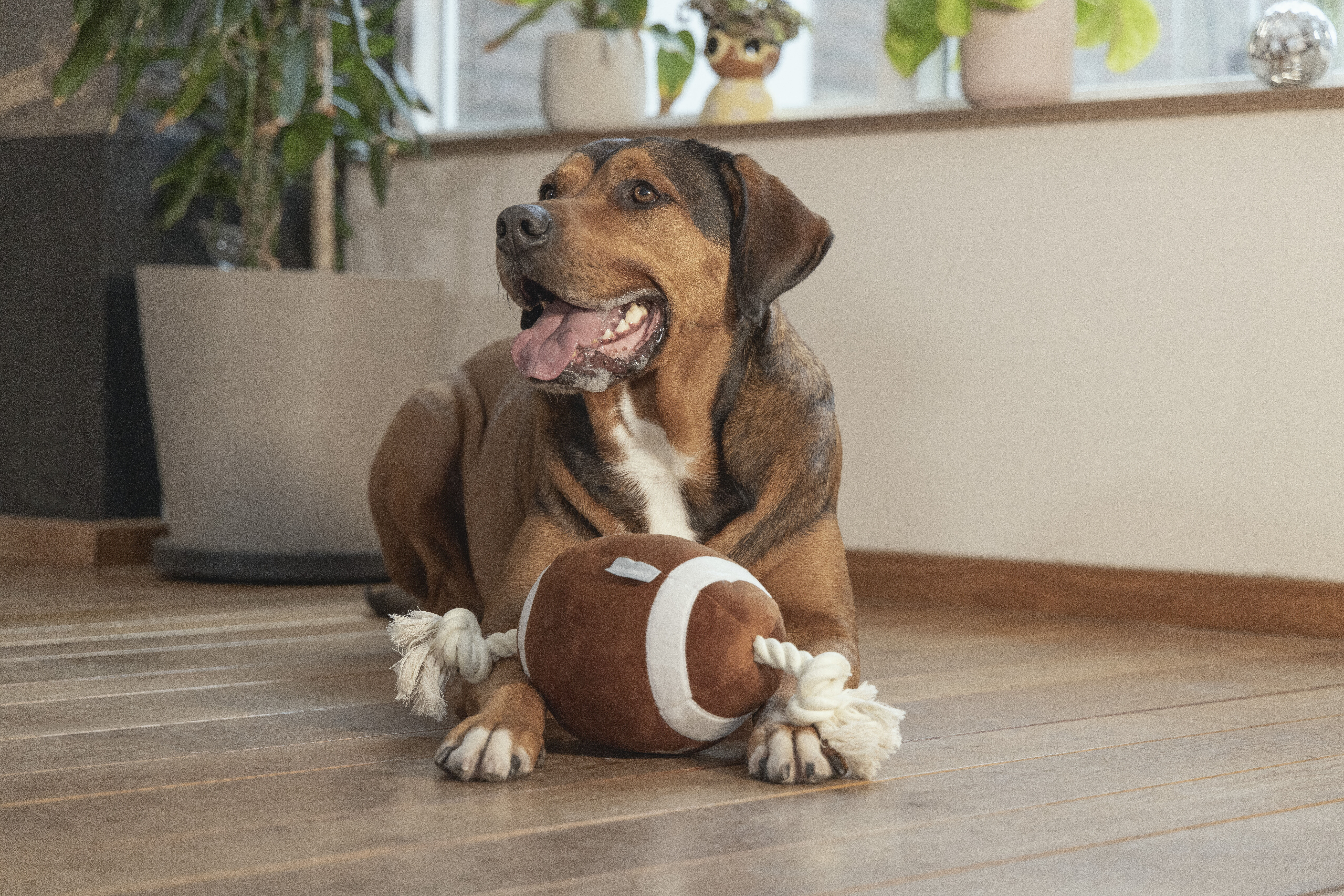 Beeztees Rugbybal Pluche - Knuffels - Flostouw -Hondenspeelgoed