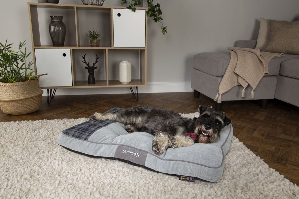 Scruffs Highland Box Bed - Hondenkussen - Grijs - 1x70x100 cm - L