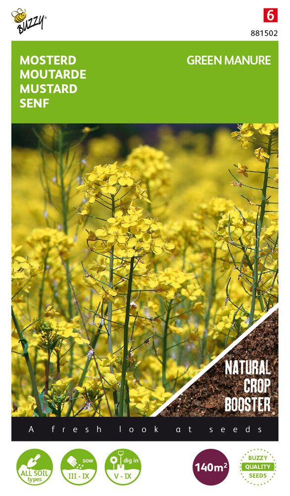 Buzzy Gele mosterd Sinapis alba - Groenbemester