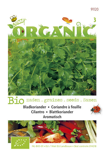 Buzzy Koriander Coriandrum sativum Koriander - Kruidenzaden