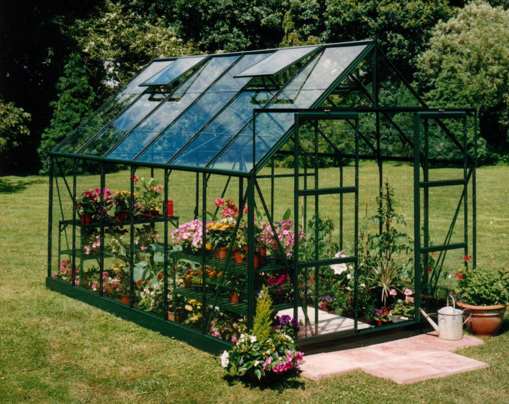 Halls Magnum 128 - Tuinkas - Groen - 258x257x384 cm - Veiligheidsglas