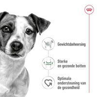 Royal Canin Mini Adult - Hondenvoer - 12x85 gram - 1020 Gram - gevogelte