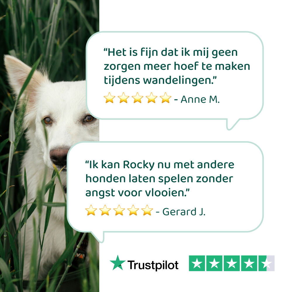 Dogsuppy Anti-Parasiet Spray - Anti Vlooien en teken Hond - 100 Milliliter