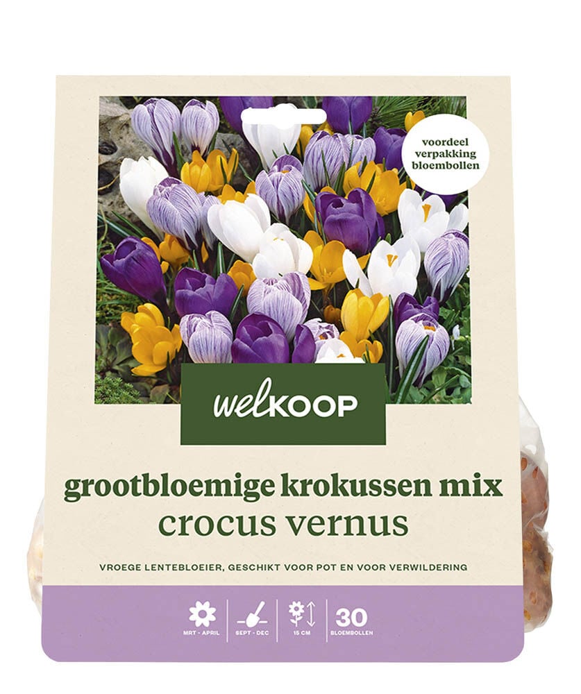 Welkoop Krokussen mix Lotte - Bloembollen