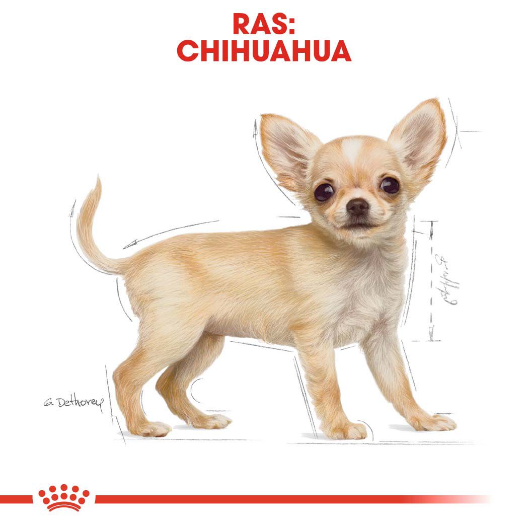 Royal Canin Chihuahua Puppy - Hondenvoer - 1500 Gram - gevogelte