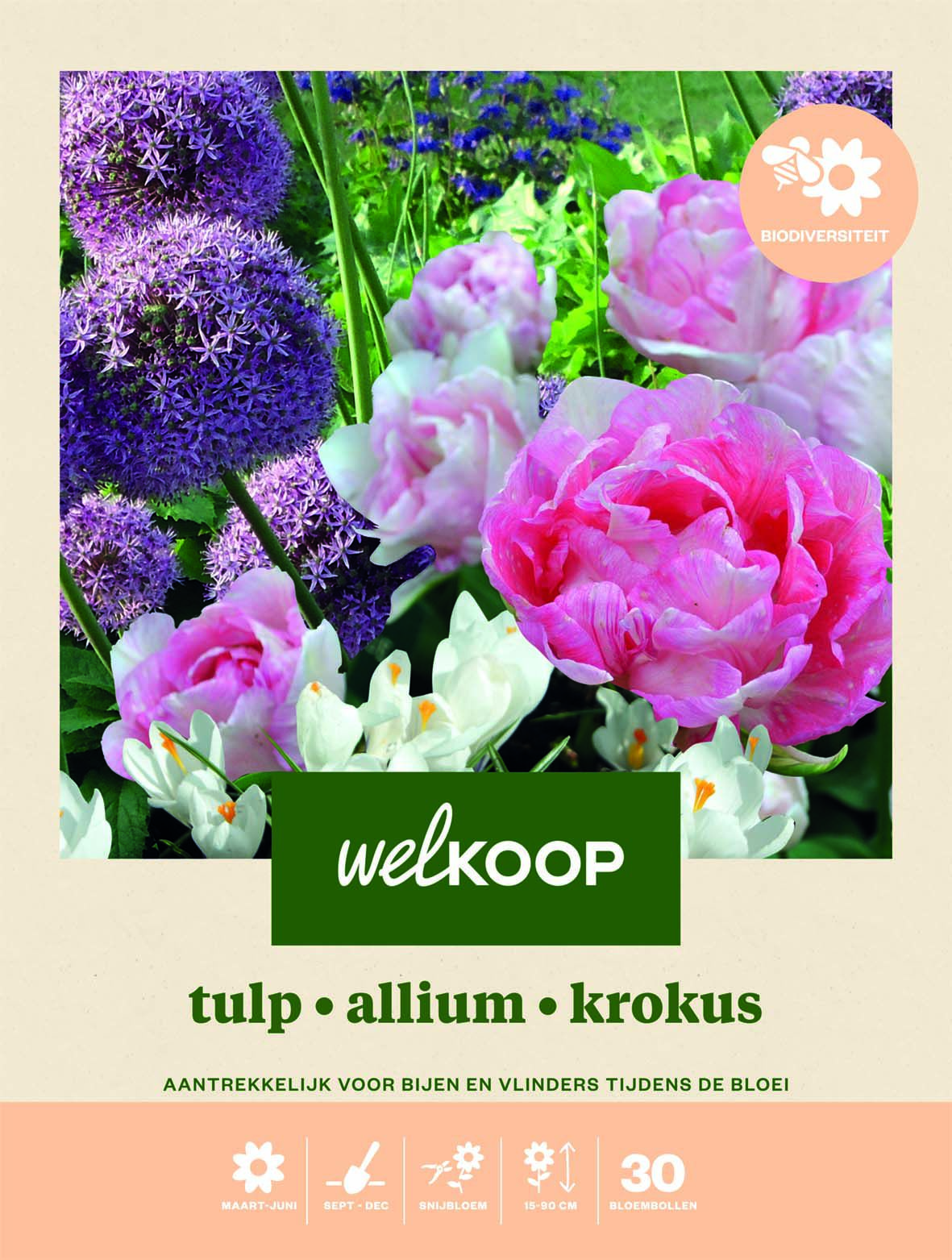 Welkoop Tulp Allium Krokus Biodiversiteit - Bloembollen Welkoop Tulp Allium Krokus Biodiversiteit - Bloembollen