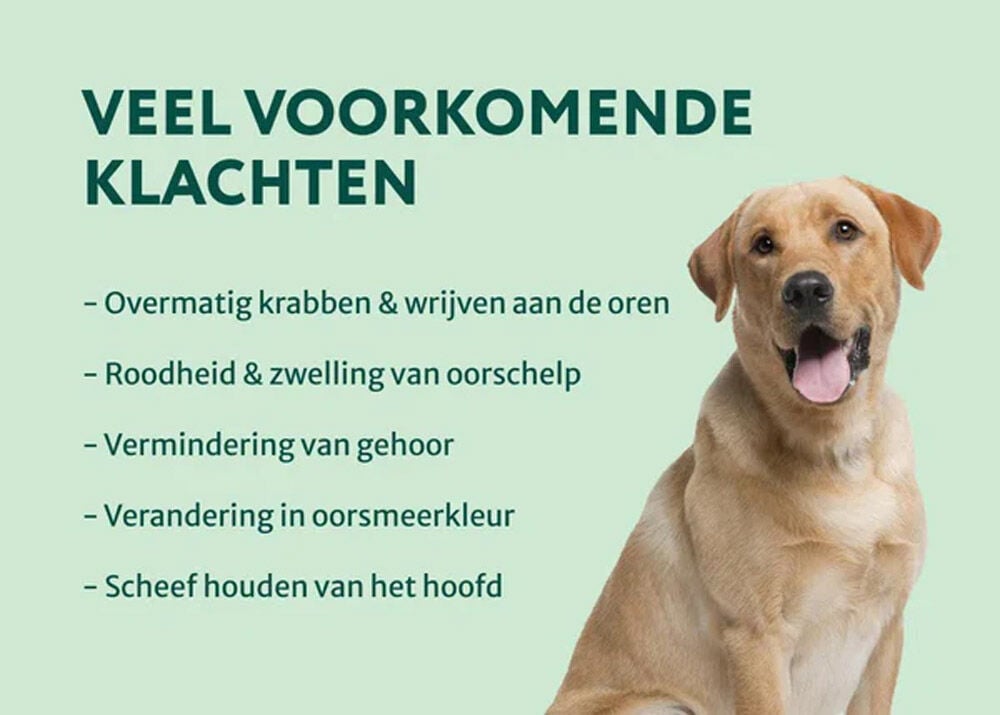 Dogsuppy Oorreiniger - Oorverzorging - 100 Milliliter
