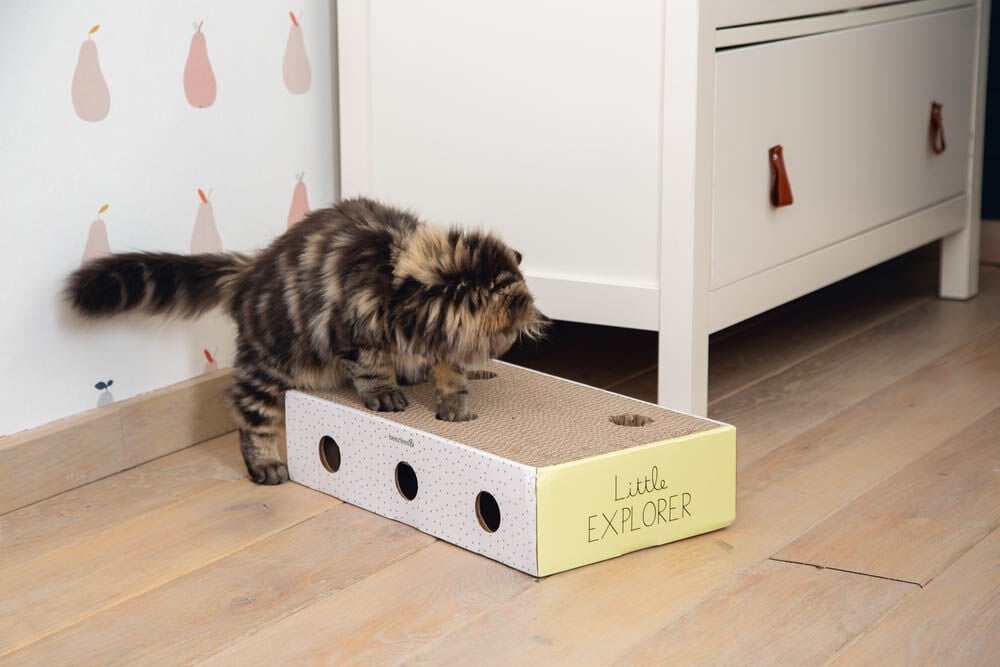 Beeztees Riva - Krabkarton - Multi - 1x25x1 cm