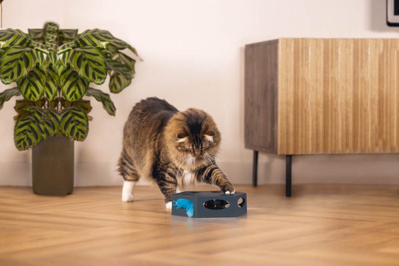 Beeztees Interactief Prooi - Kattenspeeltje - Grijs - 23 cm