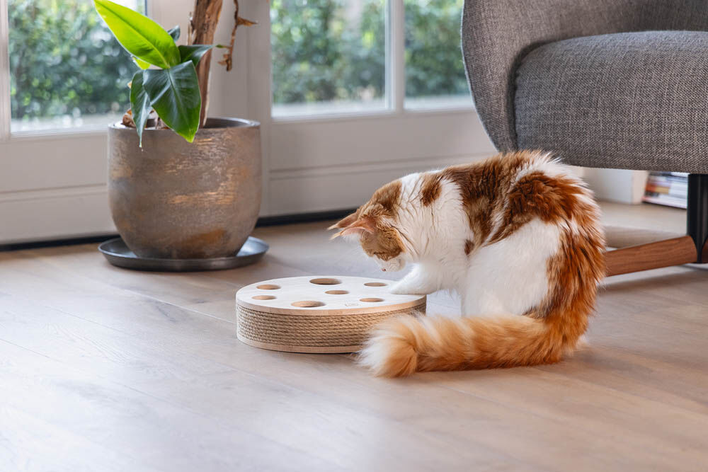 Designed by Lotte Raya - Kattenspeeltje - Bruin