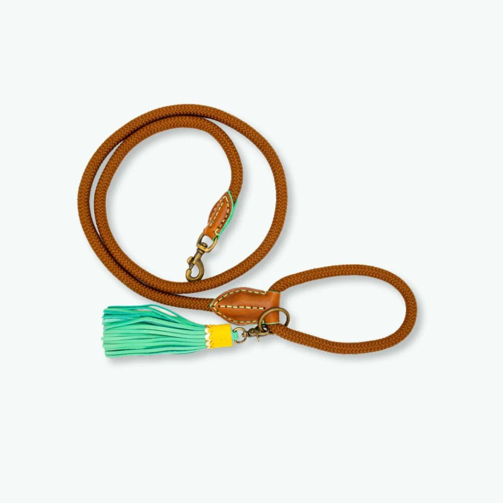 Dwam Rover 155 cm - Trainingslijn Hond Dwam Rover 155 cm - Trainingslijn Hond