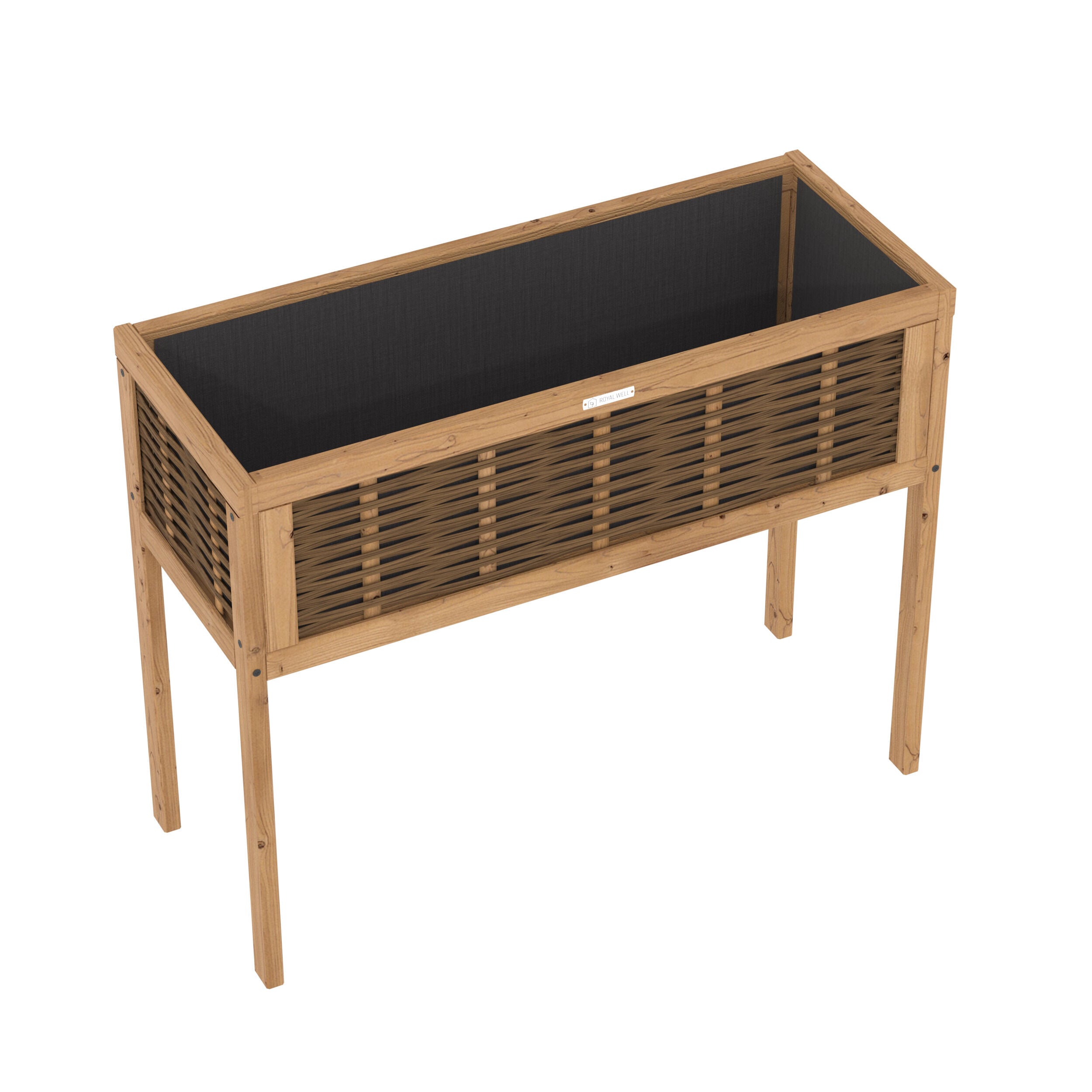 Royal Well Daisy - Kweektafel Royal Well Daisy - Kweektafel
