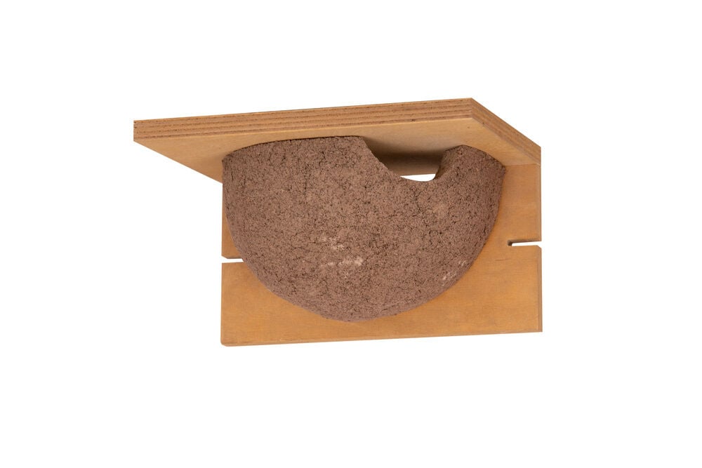 CJ Wildlife Nestkast - Zwaluw