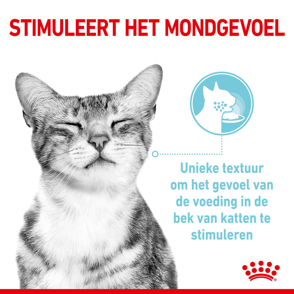 Royal Canin Sensory Multipack - Kattenvoer - 1020 Gram