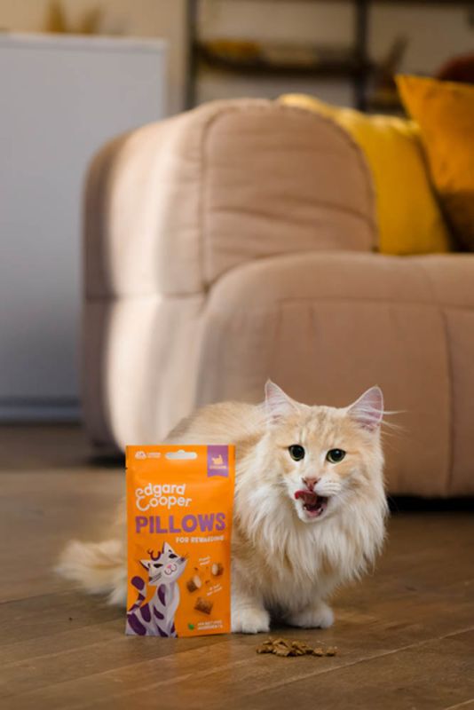 Edgard & Cooper Pillow - Kattensnack - 60 Gram - kip