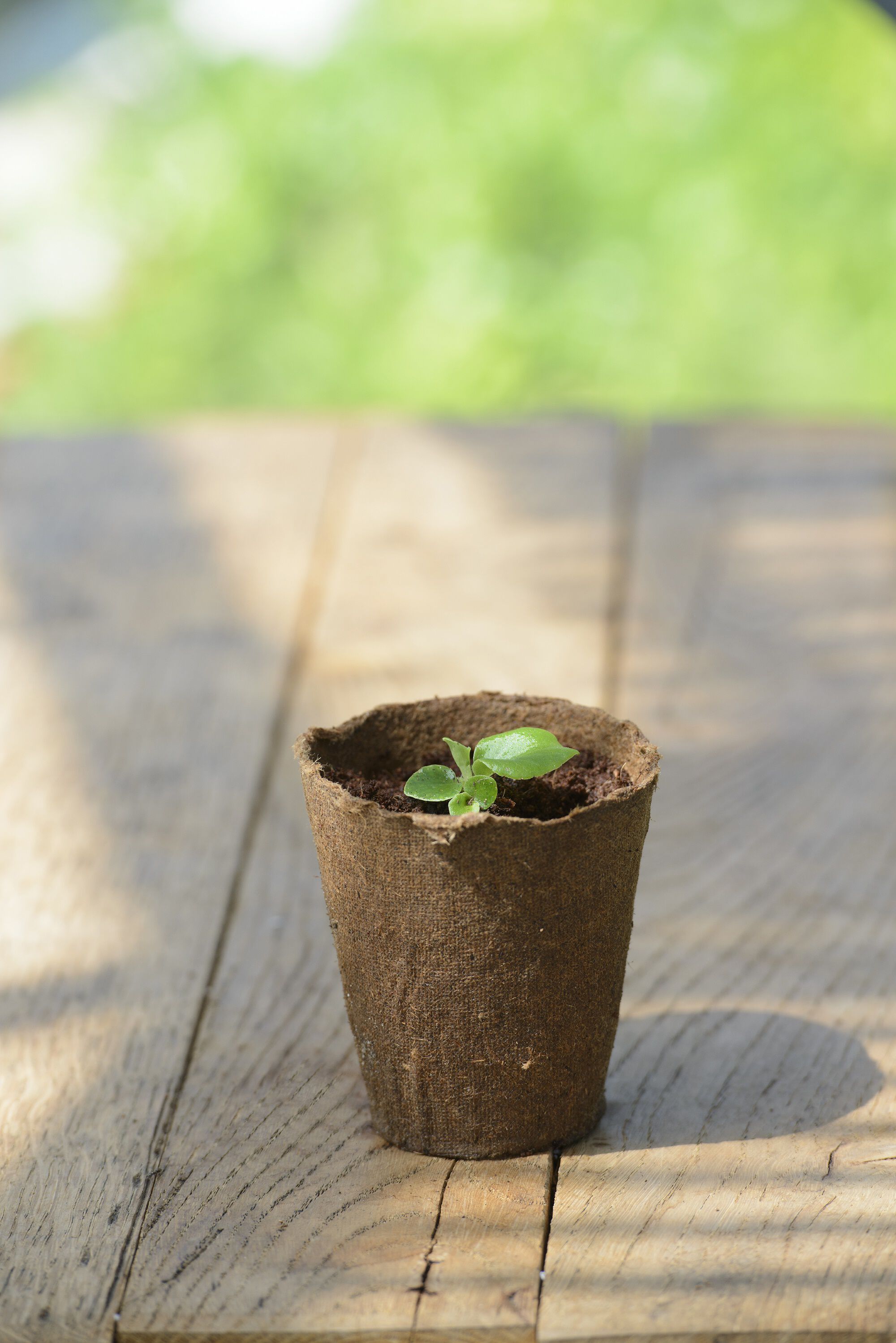 Nature Pot met tablet - Kweekpotten - 11x8.7x8 cm