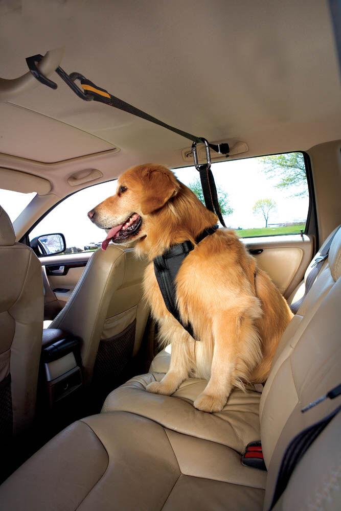 Kurgo Auto Zip Line - Autogordel - Zwart, Oranje