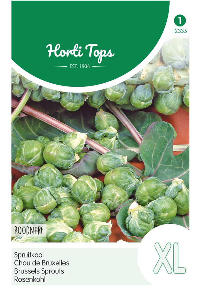 Hortitops Spruitkool Brassica oleracea Roodnerf - Kool