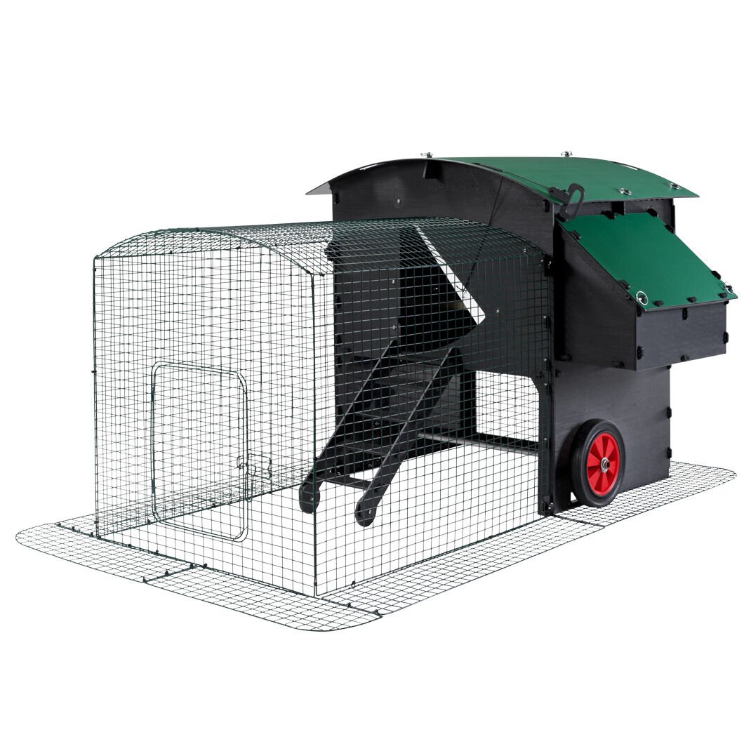 Nestera - Kippenren - voor Nestera Kippenhok Penthouse Large - Donkergroen Nestera - Kippenren - voor Nestera Kippenhok Penthouse Large - Donkergroen