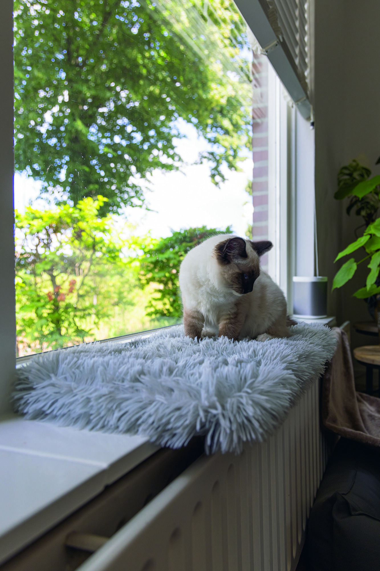 Beeztees Blizz Kitten - Vensterbankmat - Grijs - 3x65x27 cm