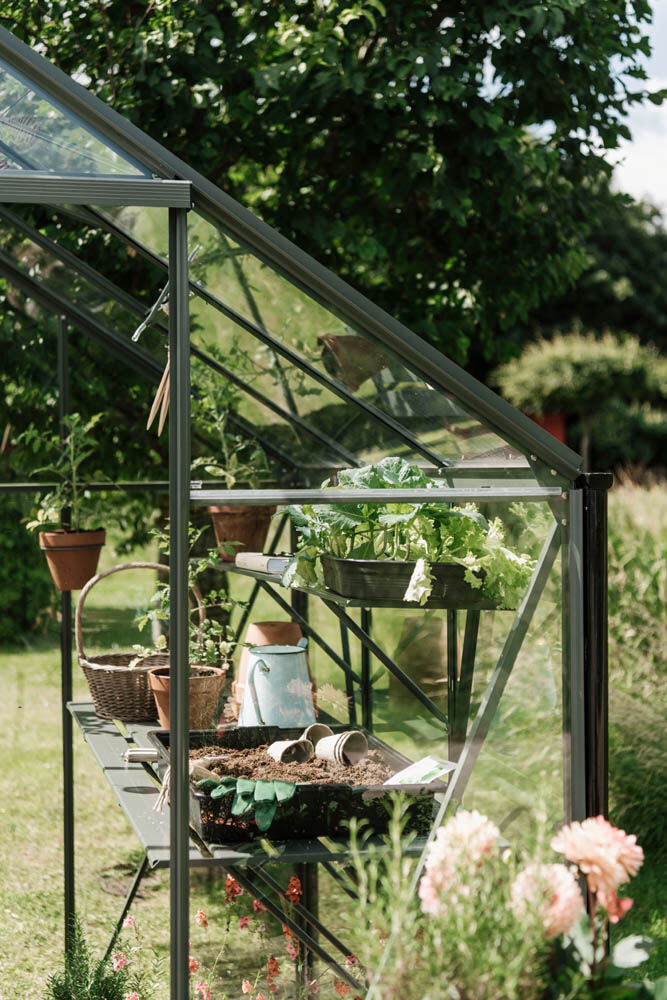 Royal Well Kate IV - Kweekschap - Groen - 2.5x22.5x364 cm Royal Well Kate IV - Kweekschap - Groen - 2.5x22.5x364 cm