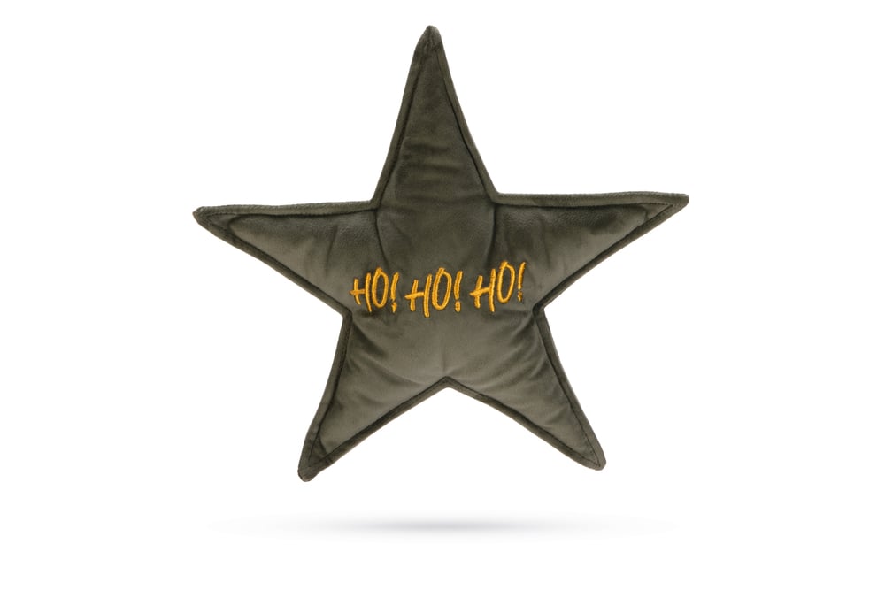 Designed By Lotte Kerstster - Knuffel - Hondenspeelgoed - groen - 29x27x27 cm