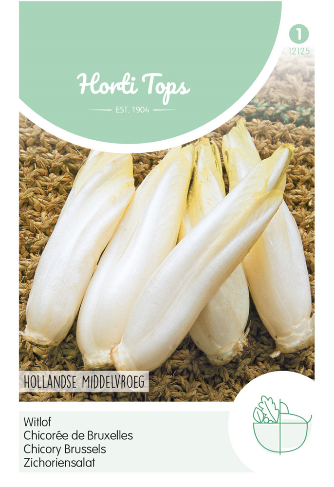 Hortitops Witlof Cichorium intybus Witlof Hollandse Middelvroeg - Edellof - Groentezaden