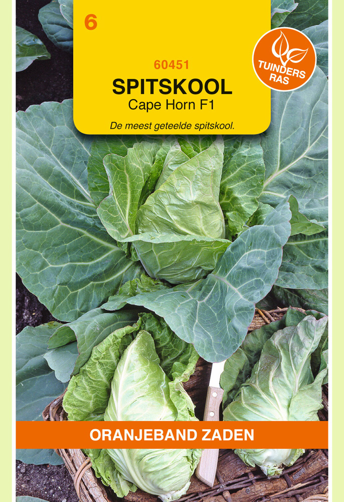 Oranjeband zaden Spitskool Cape horn F1 - Groentezaden