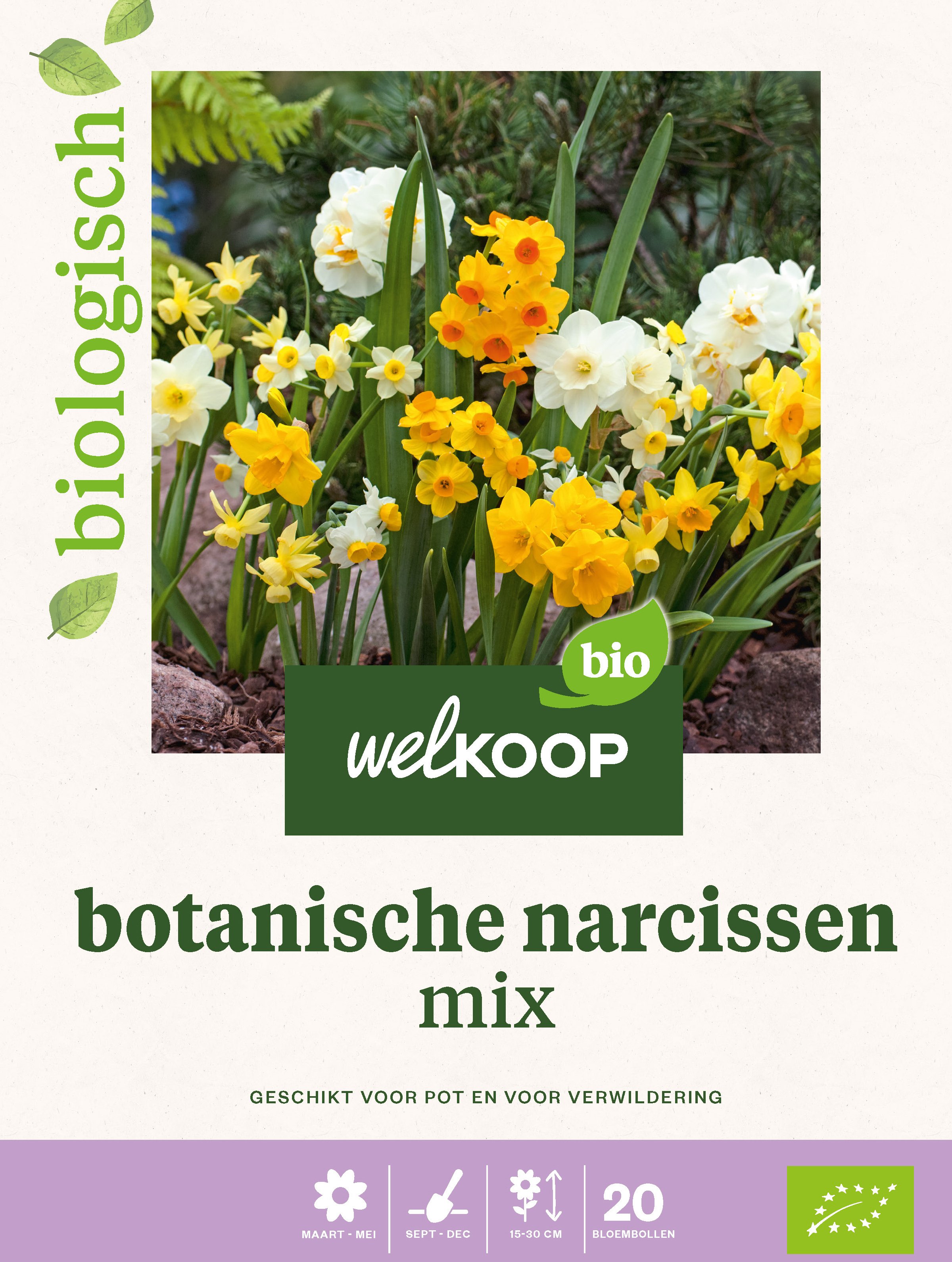 Welkoop Narcis Biologisch Botanische mix - Bloembollen