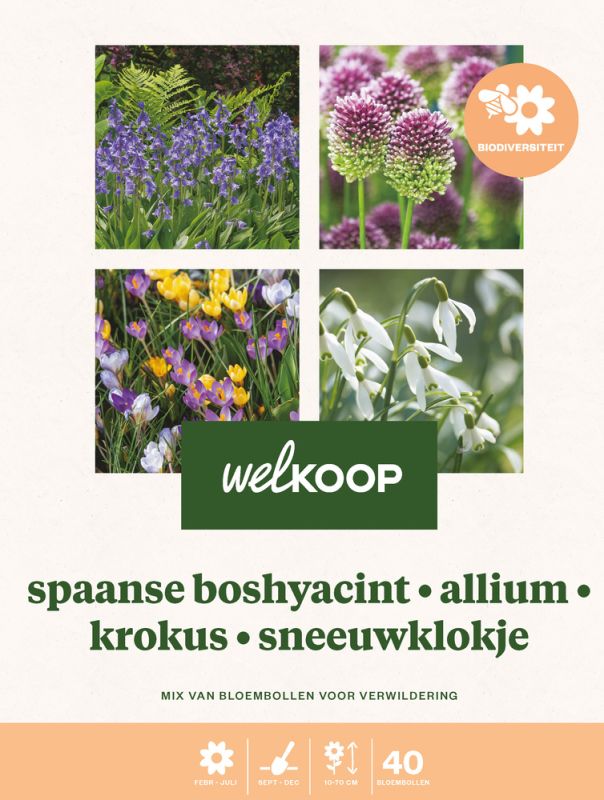 Welkoop Spaanse boshyacint Allium Krokus Sneeuwklokje - Biodiversiteit - Bloembollen