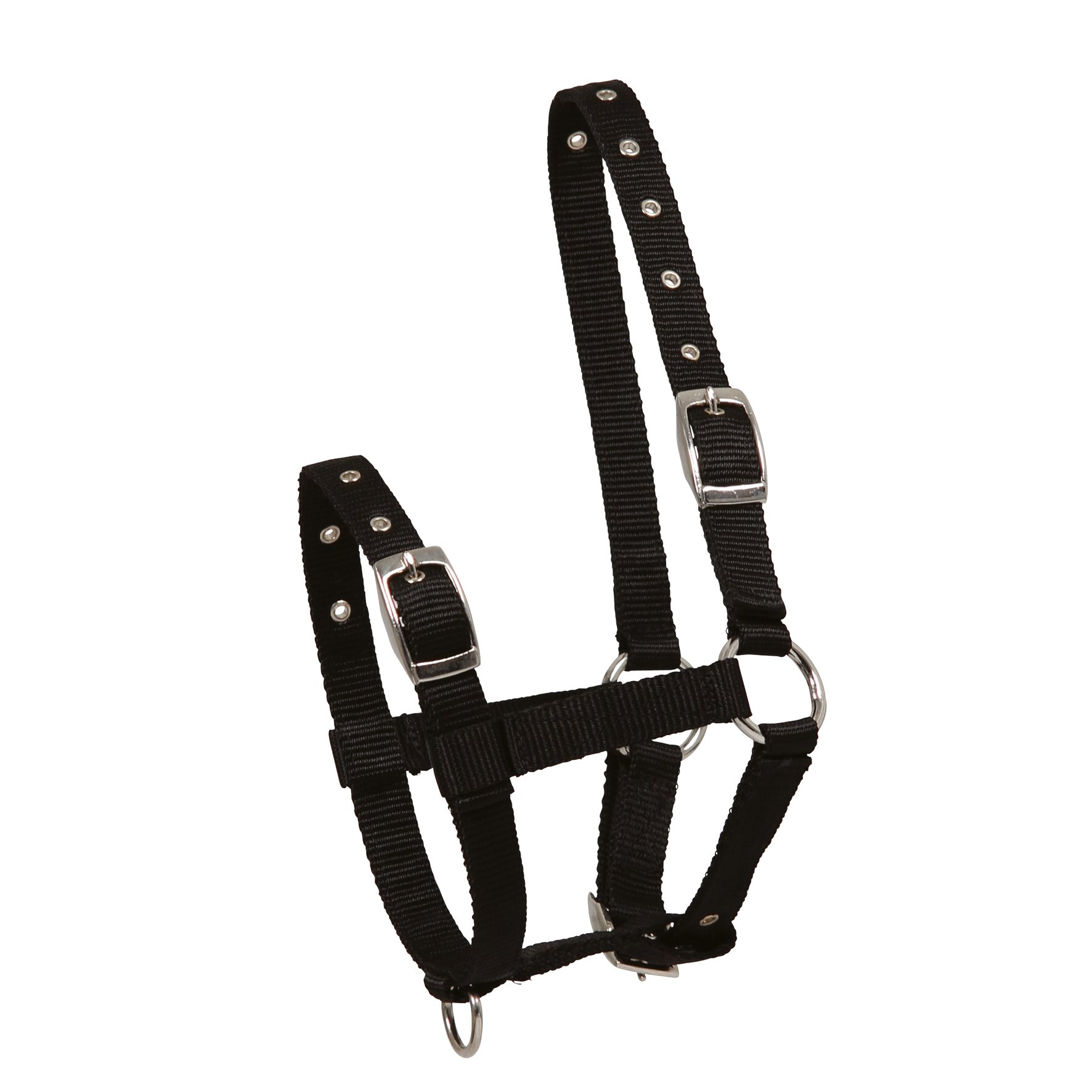 Waldhausen Veulenhalster - Verstelbaar - Zwart - Veulen