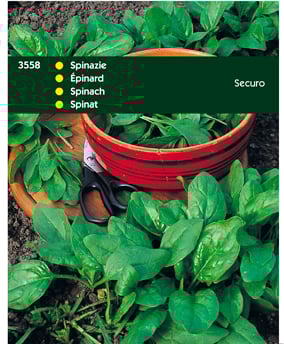 Hortitops Spinazie Spinacia oleracea Securo - Spinazie - 100 Gram