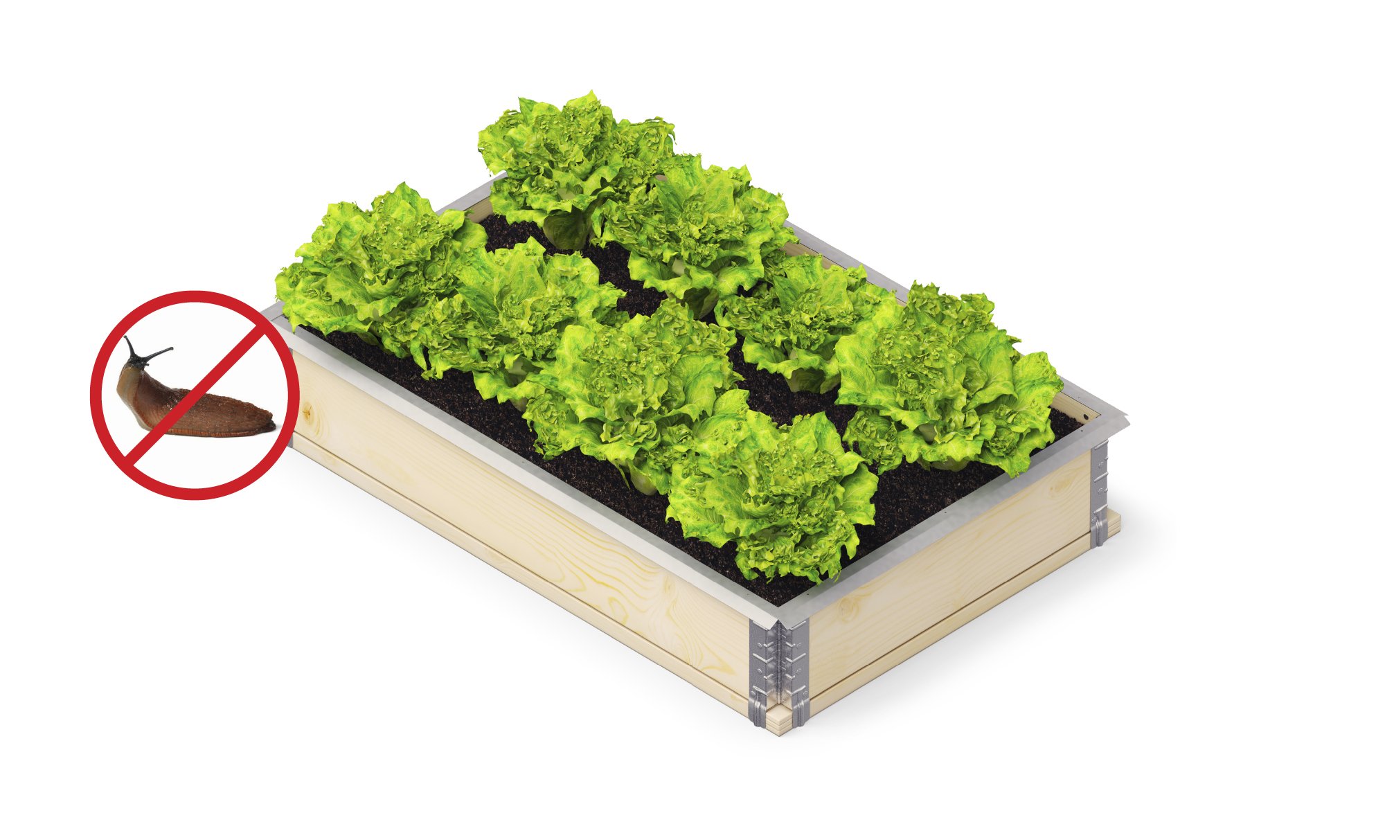 Upyard - Slakkenrand - Zilver - 0.8x119.5x4.5 cm Upyard - Slakkenrand - Zilver - 0.8x119.5x4.5 cm