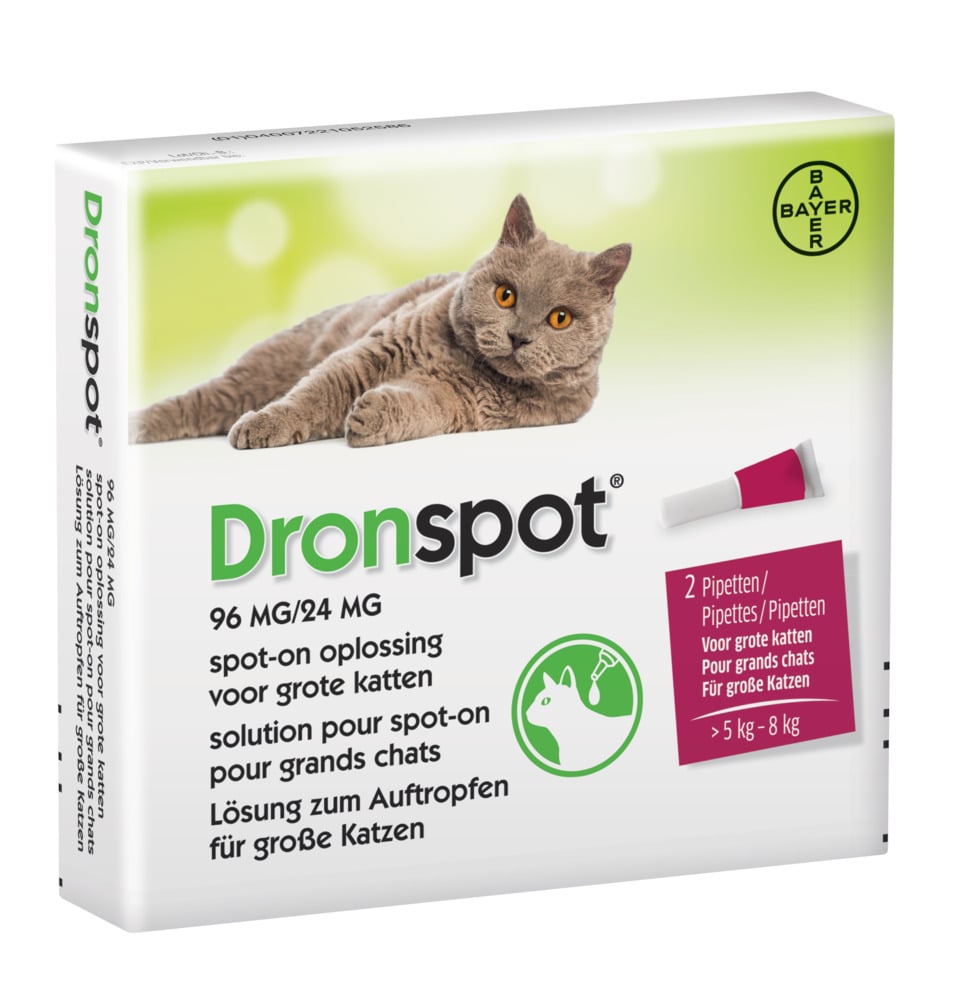 Dronspot Pipetten -  Ontwormen Grote Kat - 2 Stuks - L