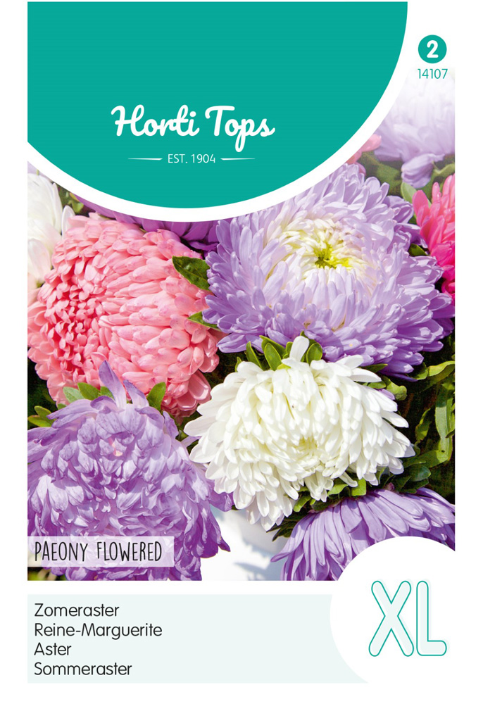 Hortitops Zomeraster Paeoniaeflora - Bloemzaden