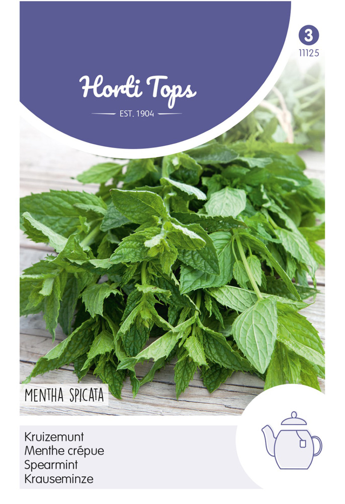 Hortitops Kruizemunt - Groentezaden